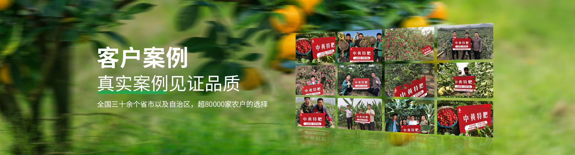 水溶肥料-大宗元素水溶肥-含氨基酸水溶肥料-高塔复合肥-水溶肥生产厂家-万利官网