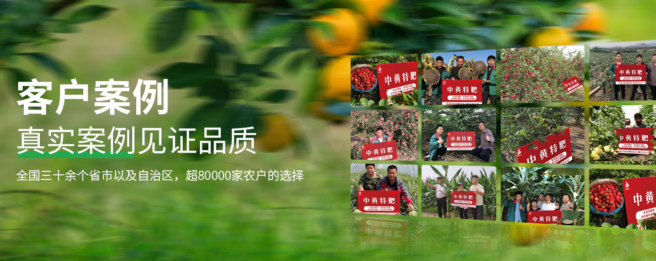 水溶肥料-大宗元素水溶肥-含氨基酸水溶肥料-高塔复合肥-水溶肥生产厂家-万利官网