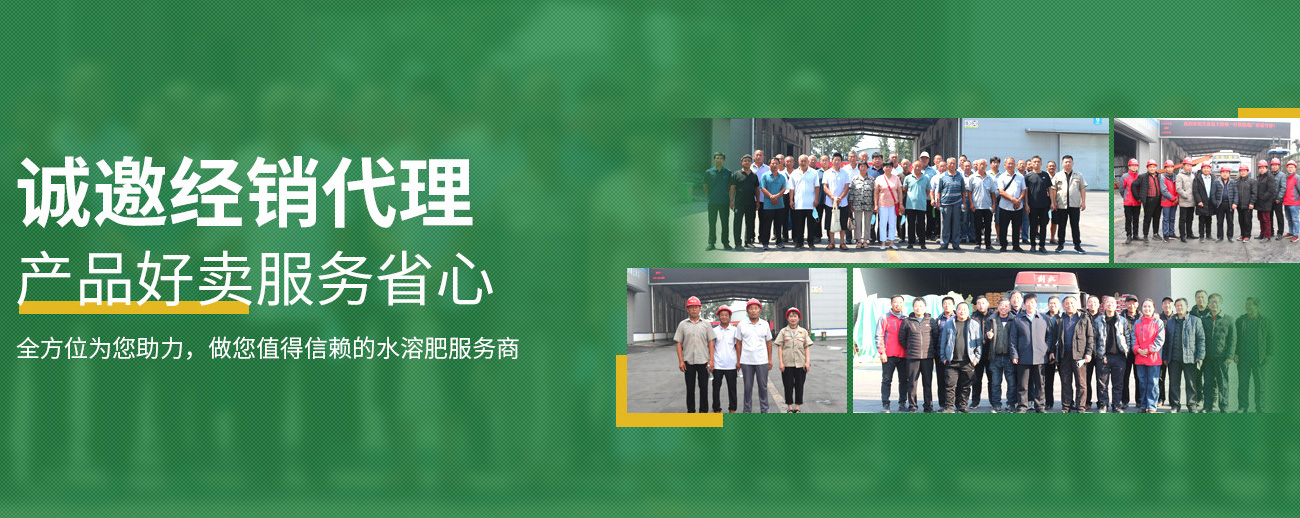 水溶肥料-大宗元素水溶肥-含氨基酸水溶肥料-高塔复合肥-水溶肥生产厂家-万利官网